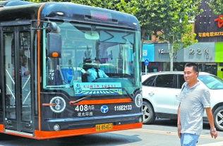 武汉公交视频,穿梭城市脉络，见证生活变迁