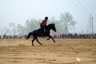 马比赛的视频,速度与激情的视觉盛宴