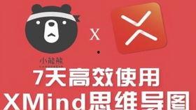 xmind教程视频,高效思维导图制作与运用技巧解析