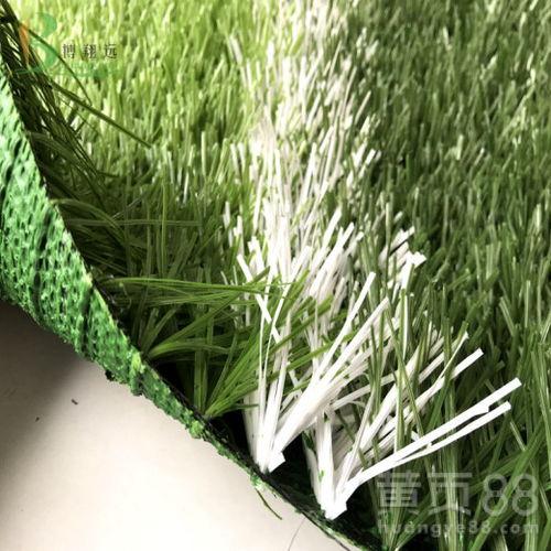 织草坪视频,一窥草坪施工全过程