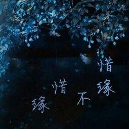 天上的星星儿歌视频,童声悠扬——天上的星星儿歌视频赏析